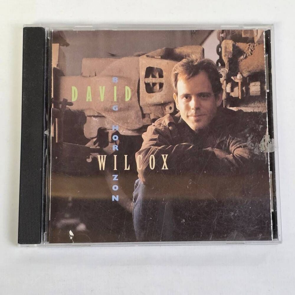 David Wilcox Big Horizon CD Album Pre-owned